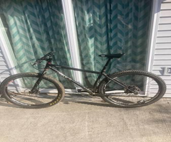 Rigid 29 plus